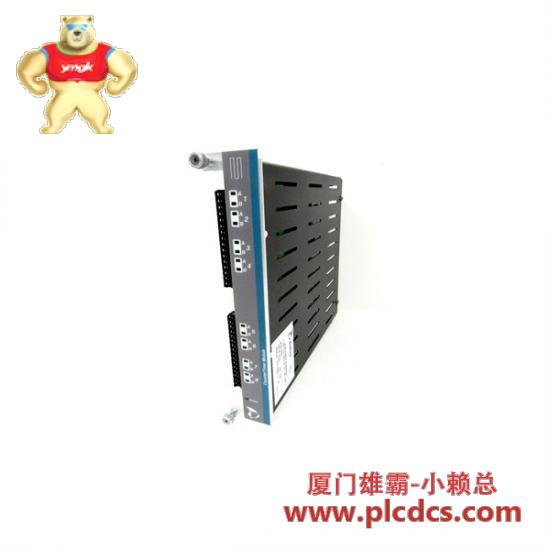 metso_s420071_2.jpg Metso S420071 工业控制模块