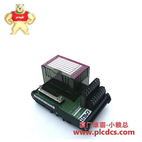 p0916ac_i_a_series_module_foxboro.jpg 福克斯博 FOXBORO P0916AC I/A系列模块