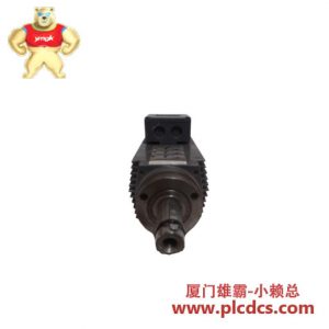 PERSKE KNS 51.14-2D 主轴电机