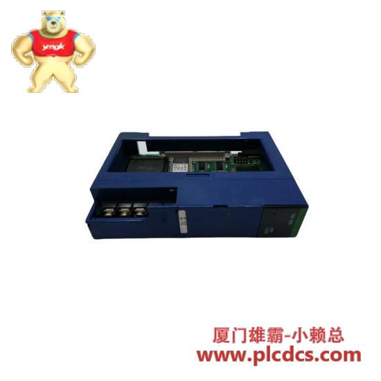 toyopuc_rmt-i_om_thu-2756_remote_i_o_master_module.jpg ABB PP30012HSABBN-5A DCS模块