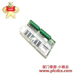 WOODWARD Woodward 9905-969 模拟输入模块