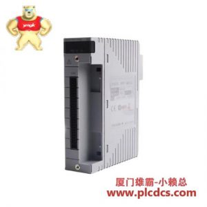 YOKOGAWA PW482-11/PW482-S01 电源模块