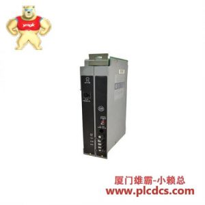 GE 1771-P5 电源模块