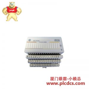 艾伦-布拉德利 1794-IE8XOE4 高密度模拟输入模块