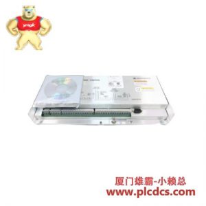 WOODWARD 8273-140 工业控制器模块