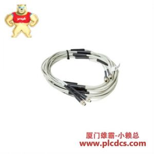 ABB ABB 3HAC020847-001 电缆组件，2根5米电缆