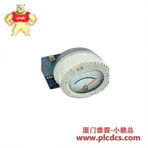 ABB 阿博格 AM54071 铠装变面积流量计