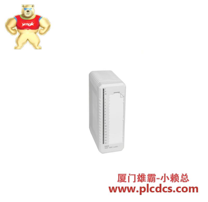 abb_di828_3bse069054r1_digital_input.jpg ABB DI828 3BSE069054R1 数字输入模块