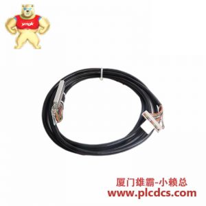 ABB DSTK 228SL3 3BSC950174R30 工业级组装排线电缆