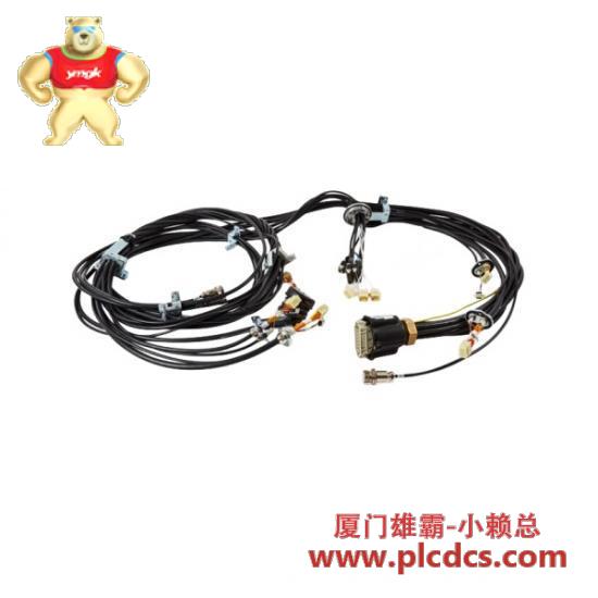 abb_irb6640_3hac038800-001_harness_axis_1-6.jpg RORZE RD-021M8 工业控制模块