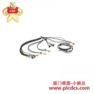 ABB IRB7601-63HAC022544-001 DSQC1003 机器人控制线缆