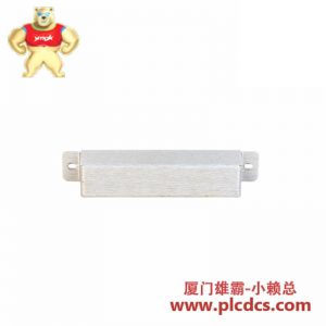 Bently Nevada 128031-01C 补充板模块