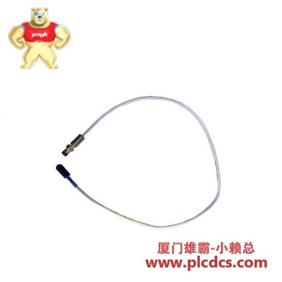 bently_nevada_330106-05-30-05-02-00_tsi_system.jpg Bently Nevada 330106-05-30-05-02-00 振动监测系统