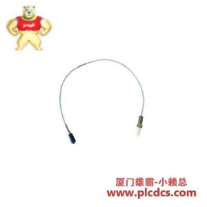 Bently Nevada 330906-02-12-05-02-00 3300 NSv 靠近探头