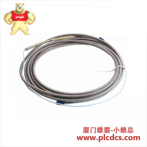 Bently Nevada 330930-040-00-00 P3403893-0006 3300 XL 标准延长电缆