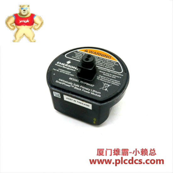emerson_701pbkkf_black_power_module.png EMERSON 701PBKKF 黑色电源模块