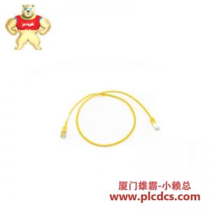 罗斯工业 控制器 ROSS 400C79 数字信号处理器