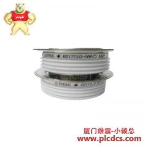 西门子 6SY7010-0AA45 晶闸管模块