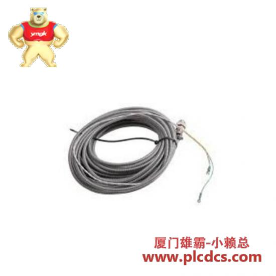 bently_nevada_84661-25_fast_delivery.jpg Bently Nevada 84661-25 高速数据采集模块