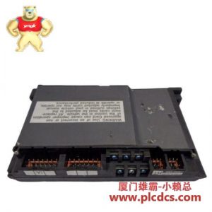 GE GE Fanuc IC3645LXCD1 Versamax PLC 控制模块