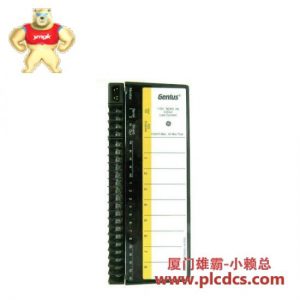 GE GE Fanuc IC660BBS102 Versamax PLC 控制模块