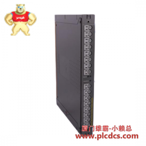 ROCKWELL ICS TRIPLEX TC-308-02-2M5 控制器模块卡