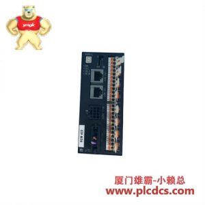 RKC H-TI0-D-WD21-V8*NN 工业控制模块
