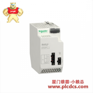 施耐德电气 140NOM25200 Modicon DIO头端适配器