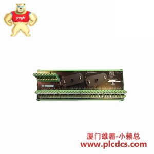 西门子 16169-1-07 模拟模块 工业自动化设备