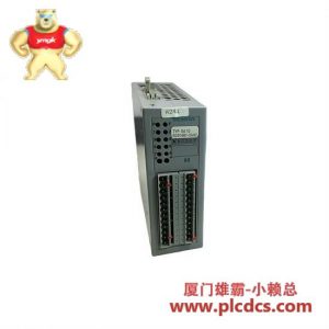 西门子 6DD1681-0AH2 SA10 接口模块