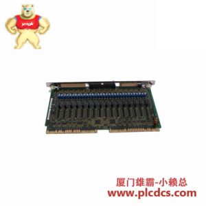 BAUER SIRAX TV808 808-611100 隔离放大器