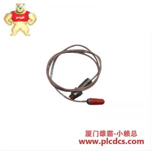 BENTLY NEVADA 30004-02-12-36-02 振动探头