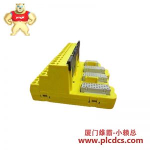 Emerson KJ2201X1-HA1 Smart Logic Solver