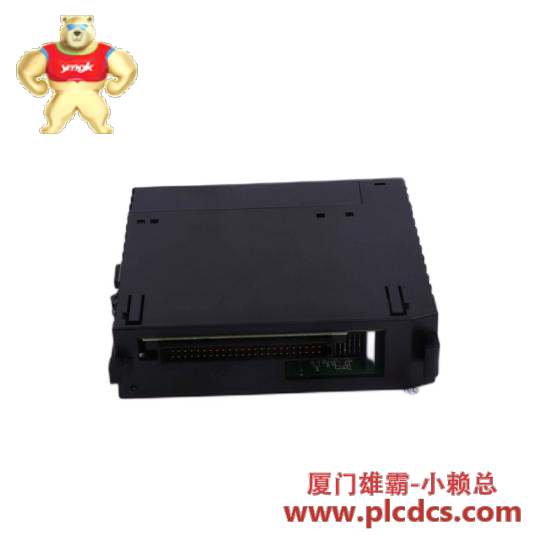 ge_ic200alg265_analog_input_modules.png GE通用电气 IC200ALG265 模拟输入模块