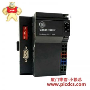 GE Fanuc IC220PBI002 VersaPoint Profibus DP V1 网络接口单元