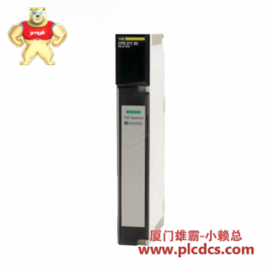 施耐德电气 Modicon Quantum 140CPS21100 电源模块