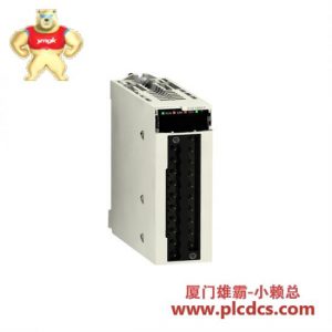 施耐德 Schneider TSXPSY5500M Modicon TSX Micro PLC 控制模块