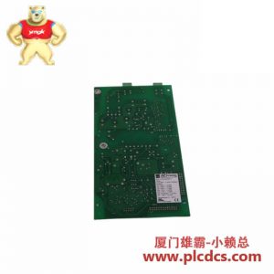 VIBRO METER GSI 124 接口模块