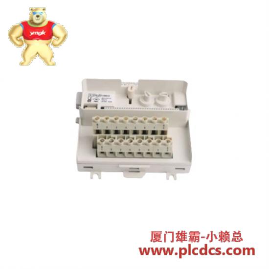 abb_hesg447398r0020_analog_input_module.jpg ABB HESG447398R0020 模拟输入模块