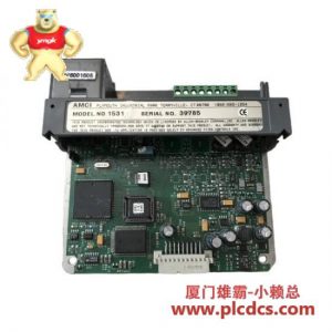 AMCI 1531 分辨率接口模块