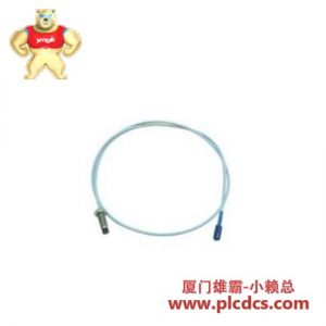 Bently Nevada 330103-02-06-10-02-00 工业振动监测传感器