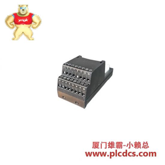 emerson_kj4006x1-bd1_interface_wiring_board.jpg 艾默生 KJ4006X1-BD1 接口接线板