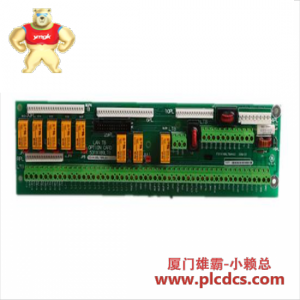 GE GE FANUC 531X189LTBALG1 DC300 PC板模块