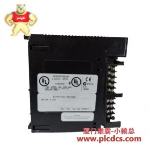 GE GE FANUC RTD输入模块HE693RTD600R