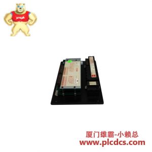 Lauer LCA450 00811-CN 操作显示面板