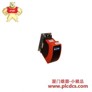 莱兹 DDLS 50125768 工业传感器