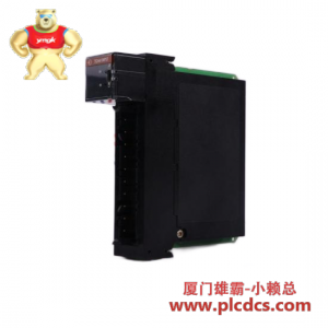 瑞恩电气 30V4060 控制器模块