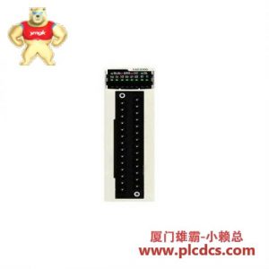 施耐德 Schneider BMXEAE0300 SSI编码器接口模块