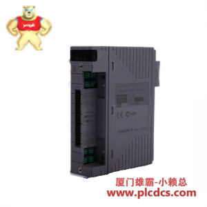 YOKOGAWA AAT145-S53 S1 横河工业自动化模块