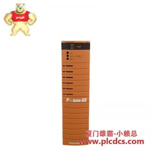 YOKOGAWA 24V直流输入电源模块SPW484-53